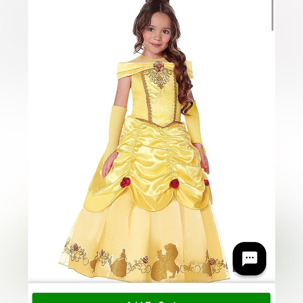 Belle costume from spirit Halloween